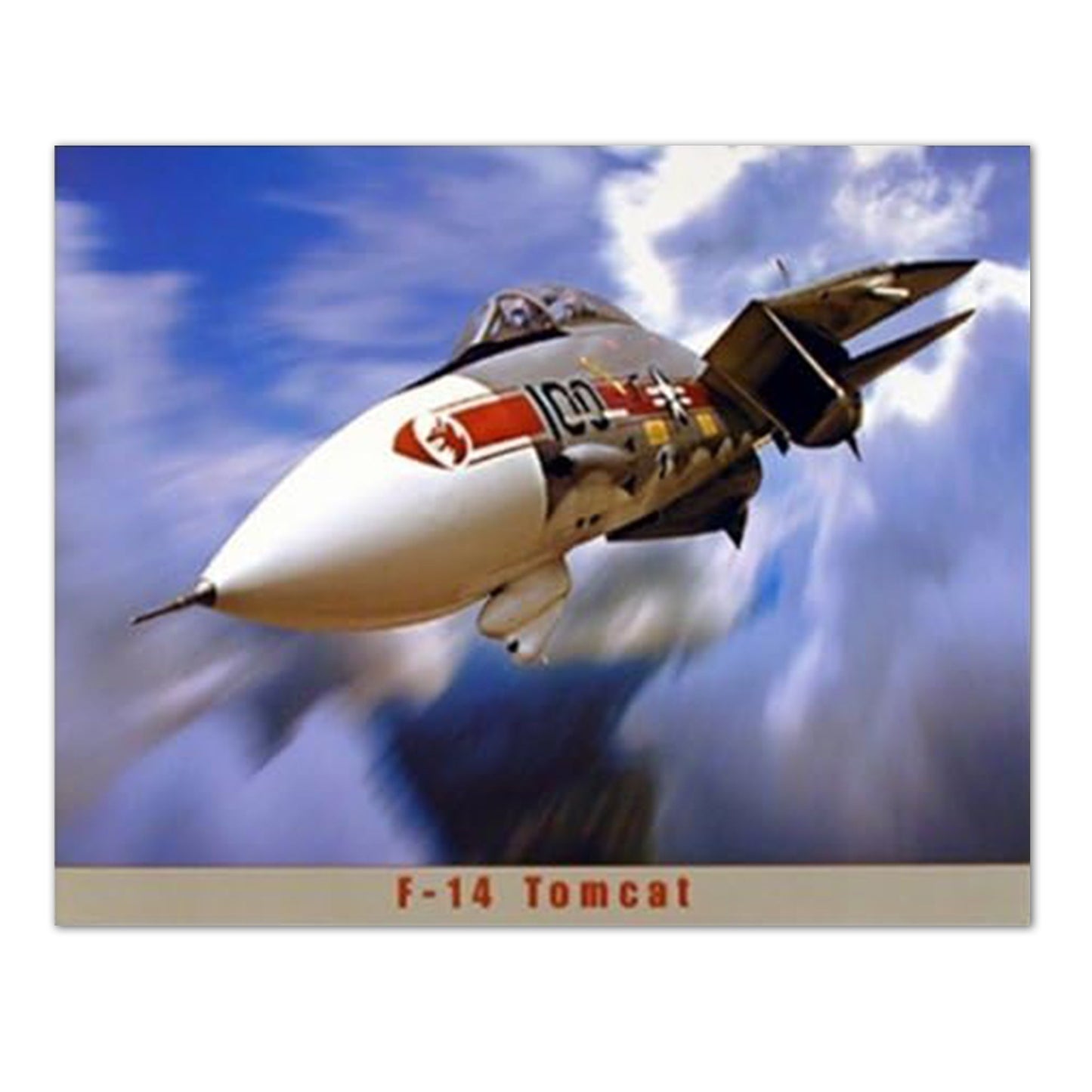 F-14 Tomcat Jet Airplane Wall Picture 16x20 Art Print