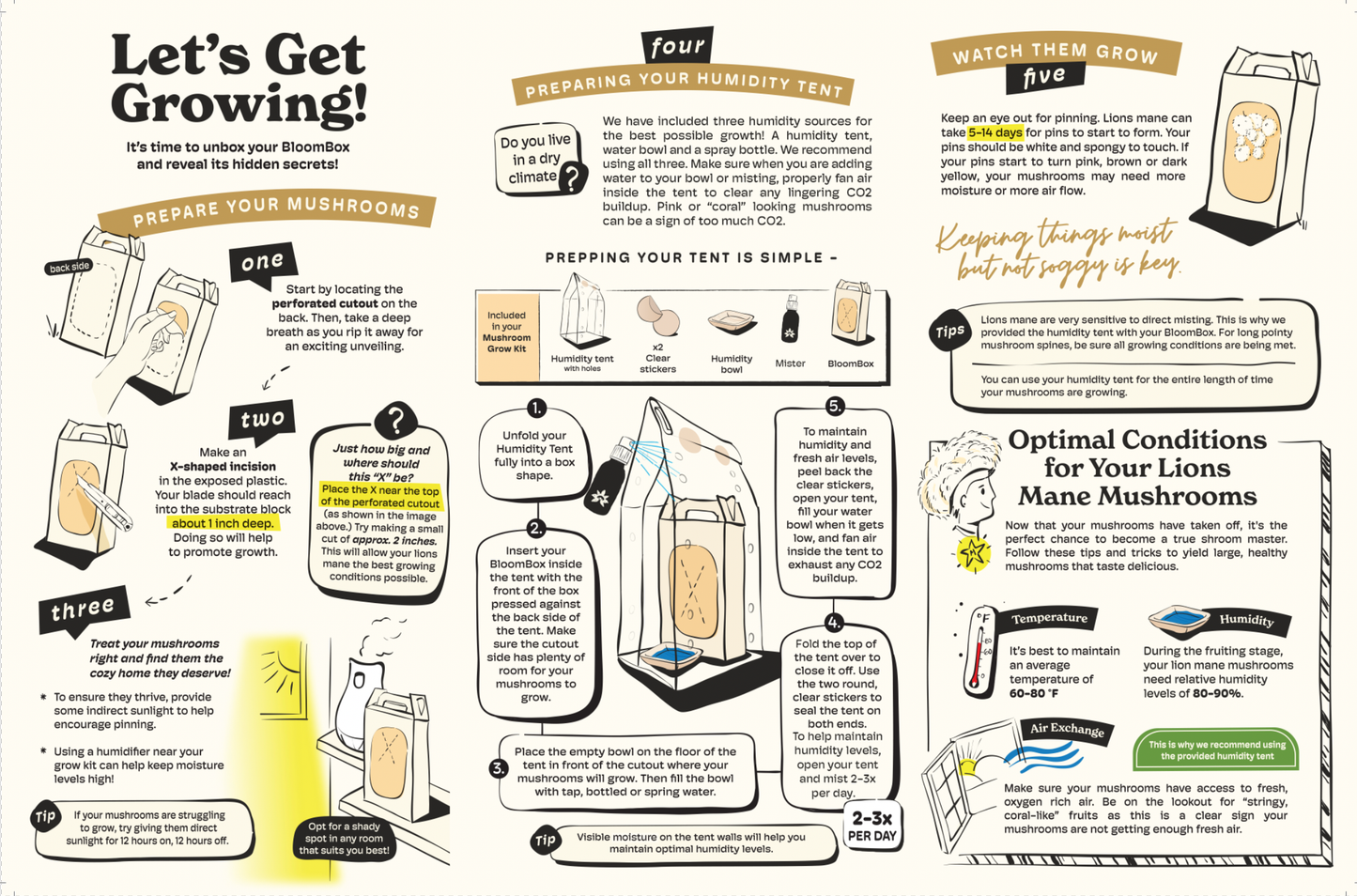 Lion’s Mane Mushroom Grow Kit | DIY Indoor Garden | Gift