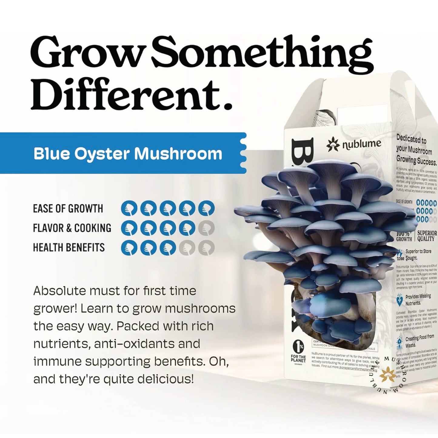 Blue Oyster Mushroom Grow Kit | Indoor DIY Garden Kit