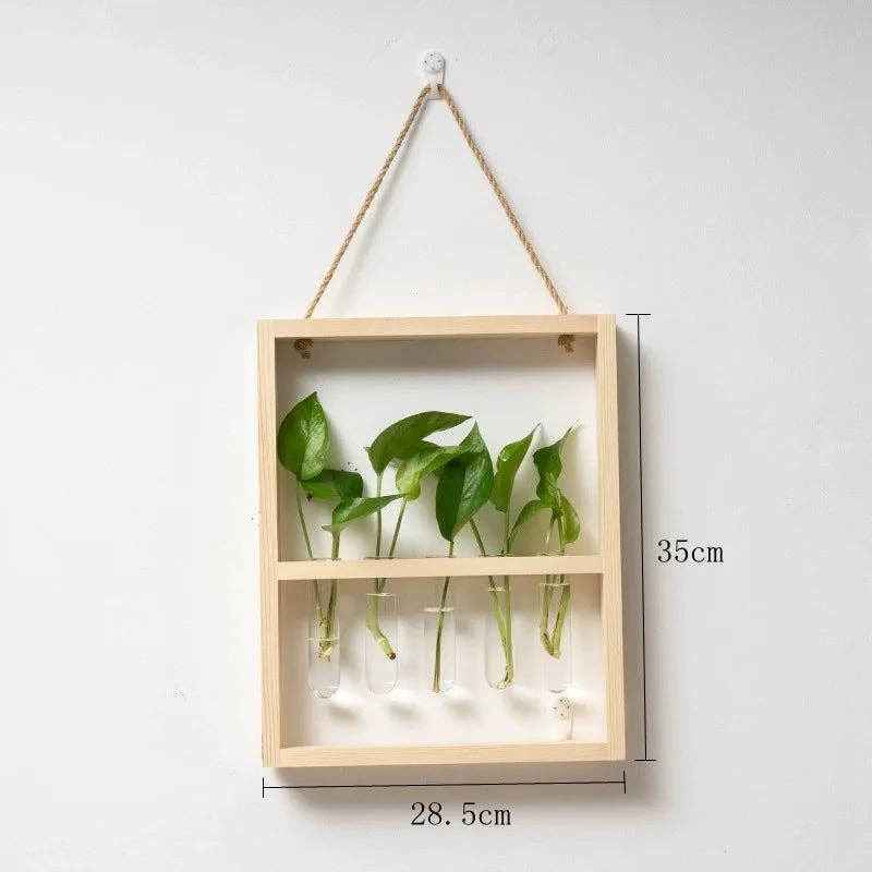 Plant Propagating Photo Frame