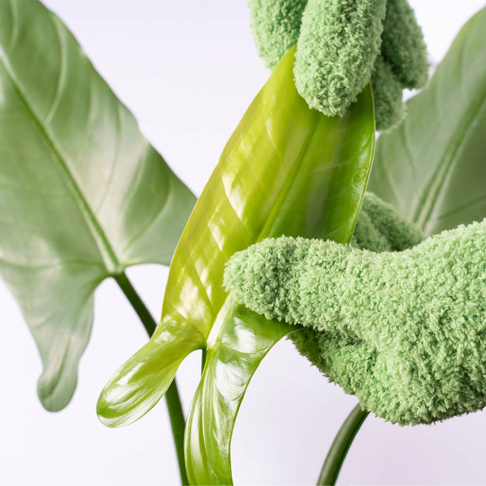 Green Gloves For Plants