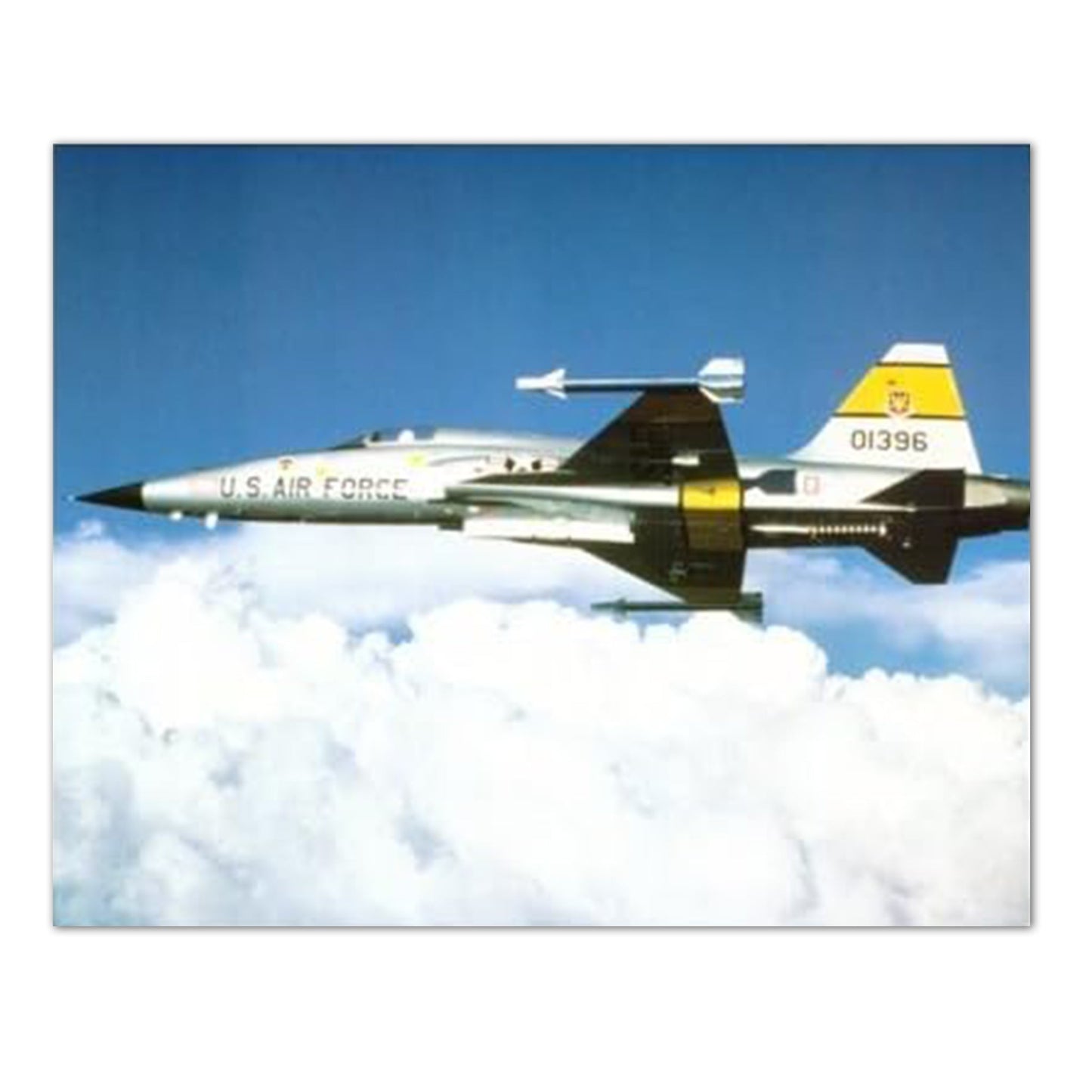 USAF F-5 Fighter Jet Airplane Wall Picture 16x20 Art Print