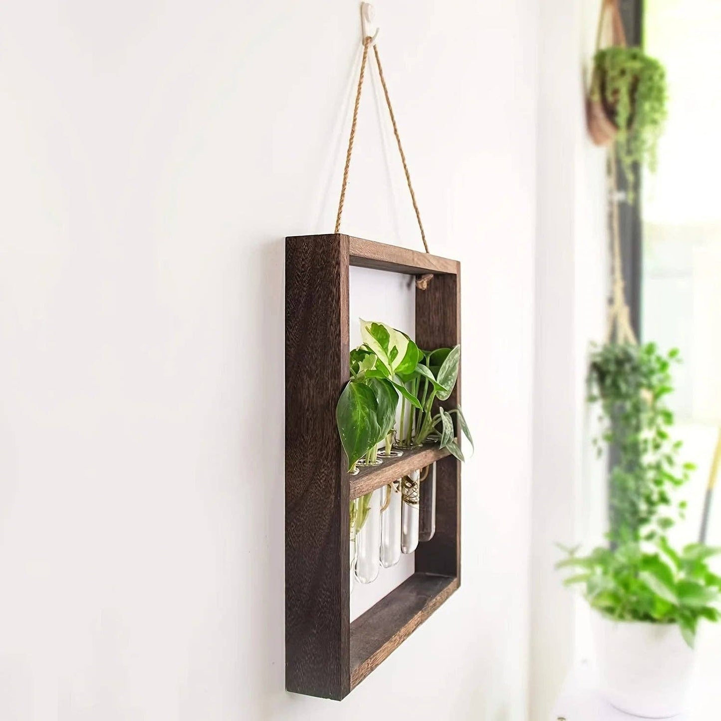 Plant Propagating Photo Frame