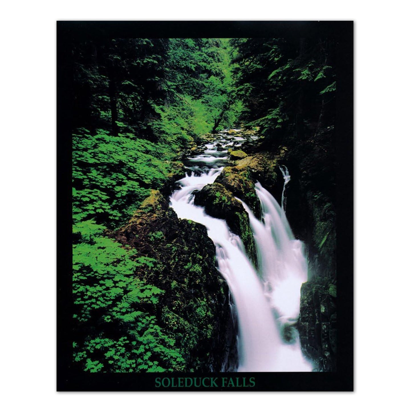 Soleduck Waterfall Olympic National Park Photo Wall Picture 8x10 Art Print
