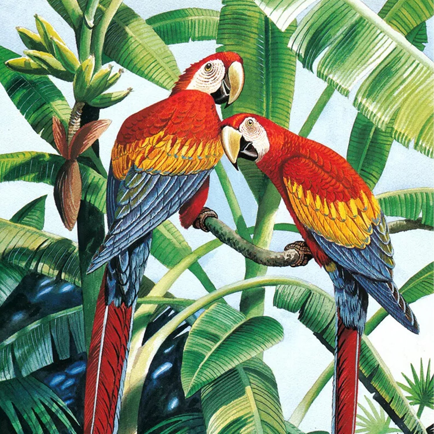 Nature & Animals