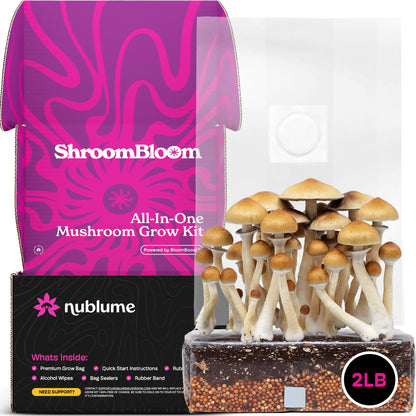 All-In-One Mushroom Grow Kit – Perfect for First-Time Grower