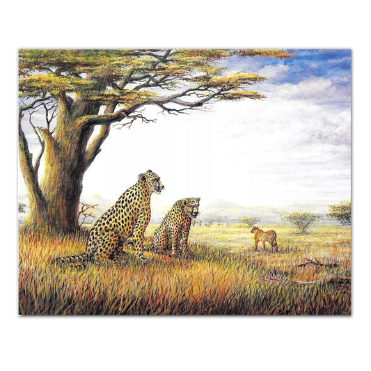 African Savannah Cheetahs #2 Wall Picture 8x10 Art Print