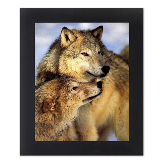 Two Grey Wolves Close-Up Photo Wall Picture 8x10 Art Print