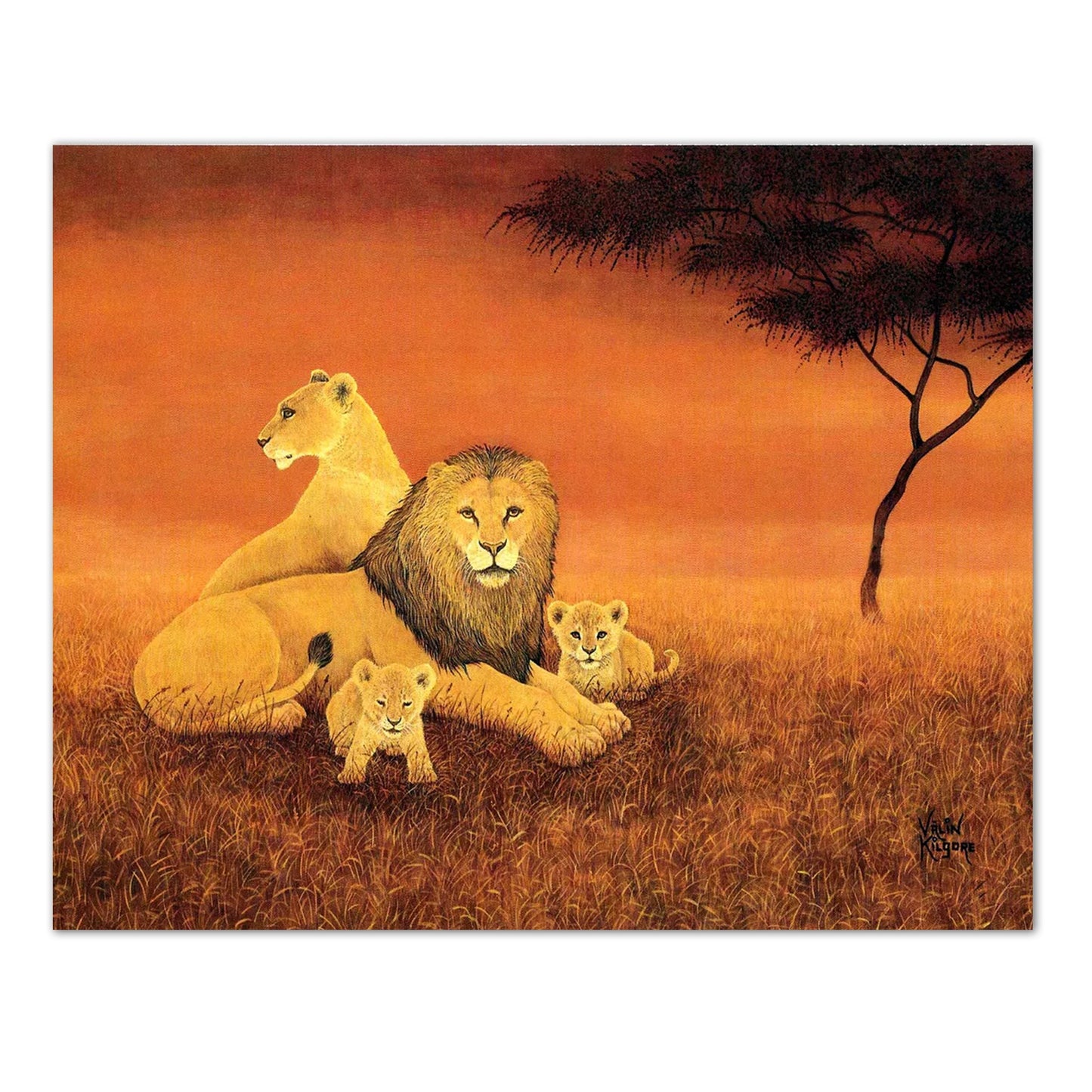 African Lion Family Animal Wildlife Wall Picture 8x10 Art Print