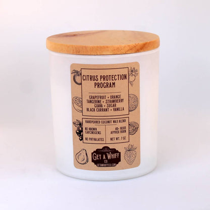 Sweet Orange Soy/Coconut Candle | Non Toxic Candle