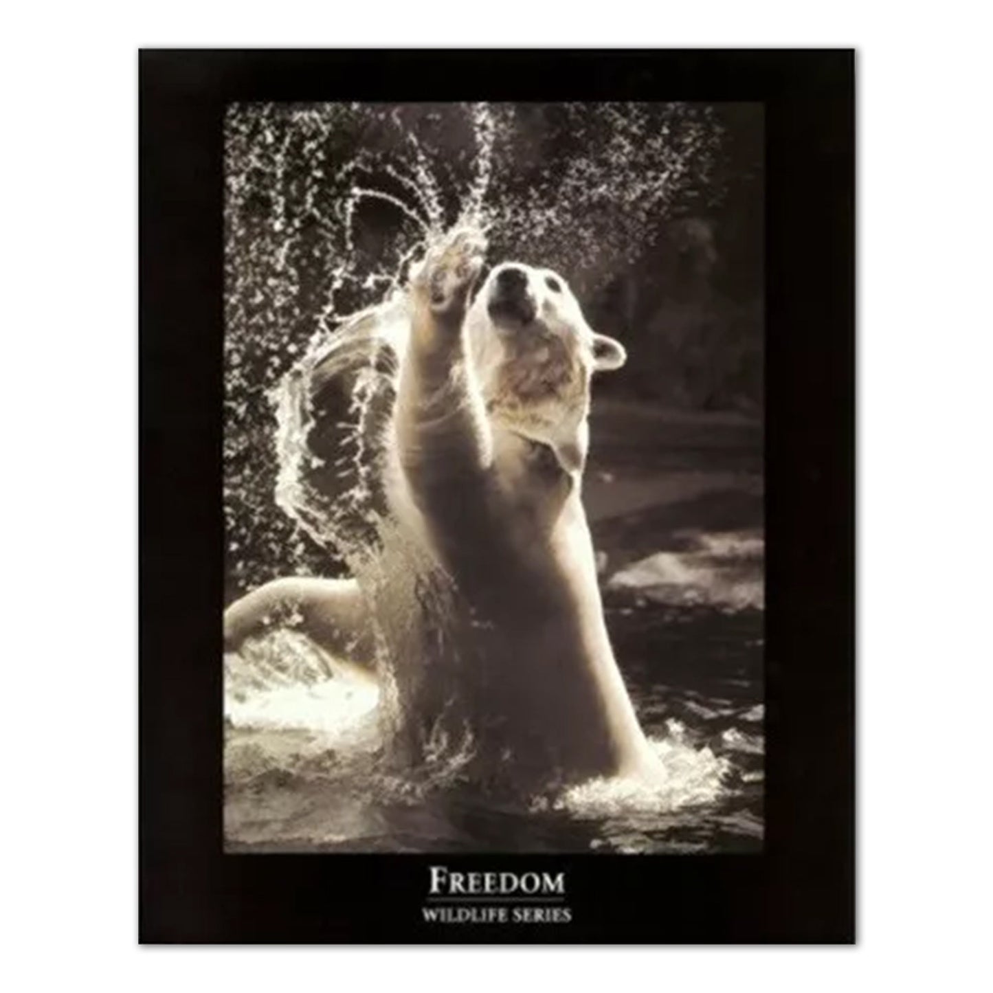 FREEDOM Motivational Bear Wall Picture Art Print