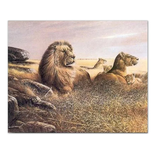 African Lion Savannah Pride Wall Picture Art Print