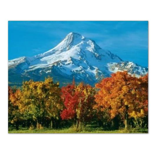 Mount Hood Lake Trees and Flowers Photo Wall Picture 16x20 Art Print