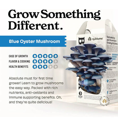 Blue Oyster Mushroom Grow Kit | Indoor DIY Garden Kit