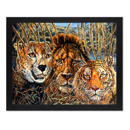 African Savannah Cat Phases Lion and Tiger Wall Picture Black Framed Art Print