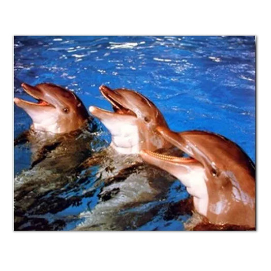 Bottlenose Dolphins Fish Kids Wall Picture Art Print