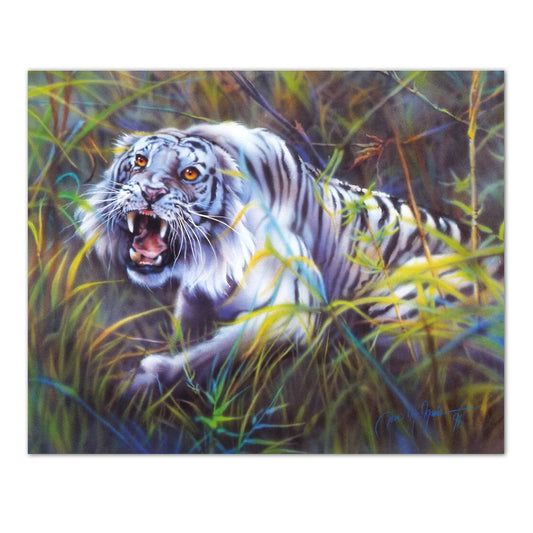 Tropical White Tiger Cat Wall Picture Art Print