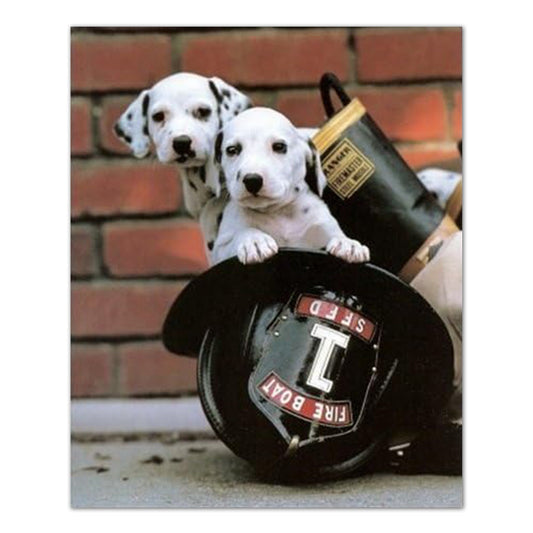 Firefighter Puppy Dog Fire Boat 1 Wall Picture Art Print