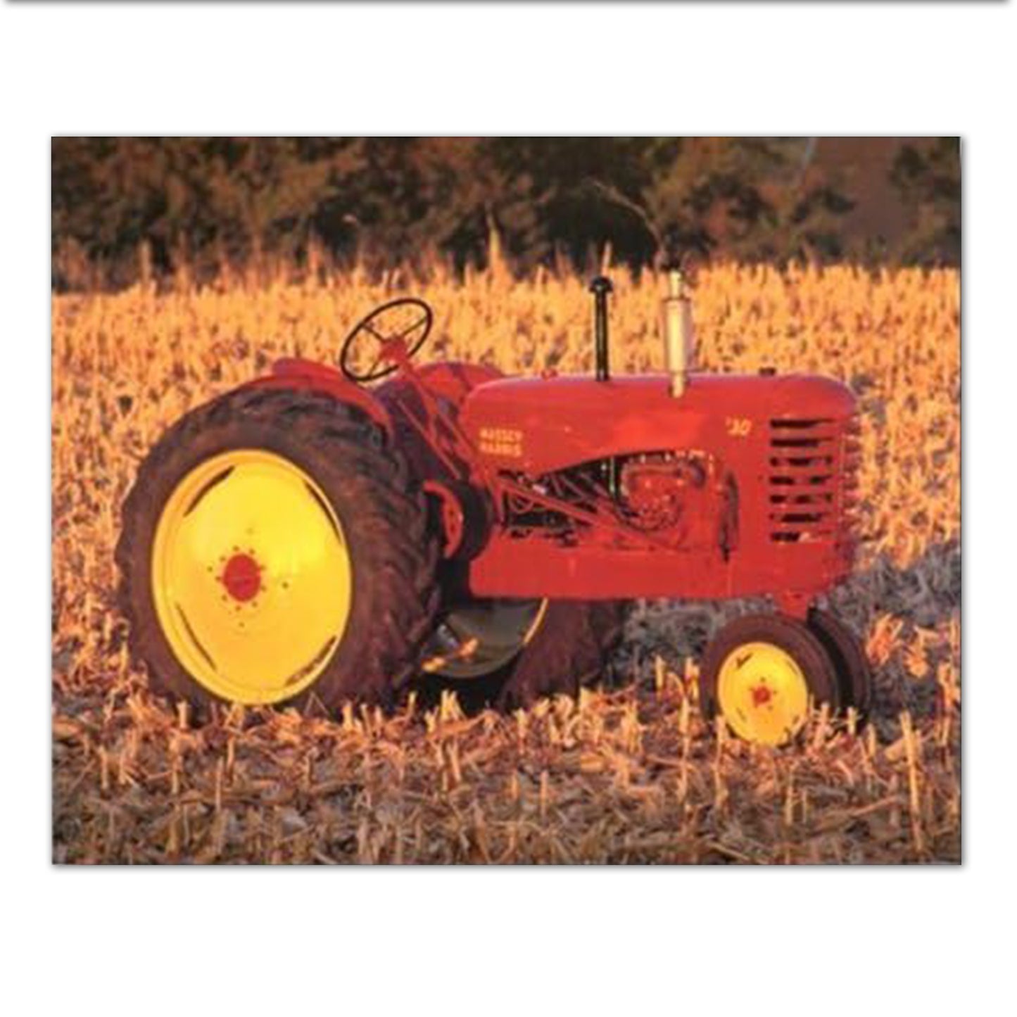1947 Massey Harris Farm Tractor Wall Picture 16x20 Art Print