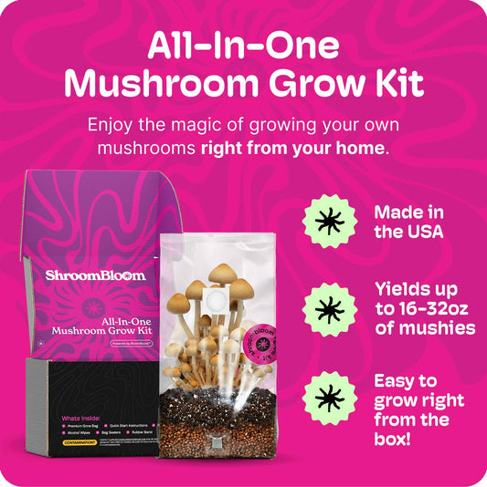 All-In-One Mushroom Grow Kit – Perfect for First-Time Grower
