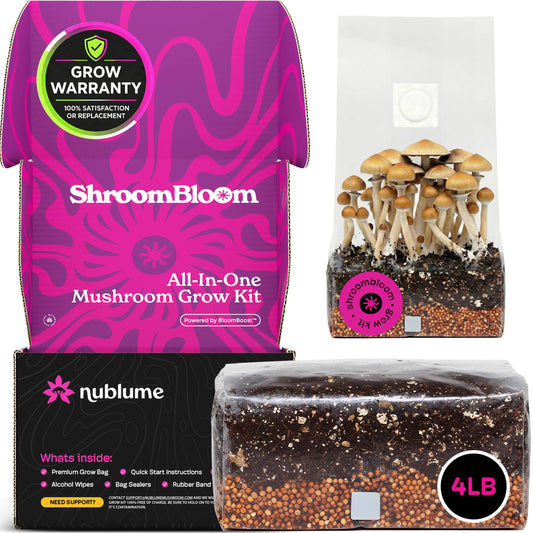 All-In-One Mushroom Grow Kit (4LB) – First-Time Growers