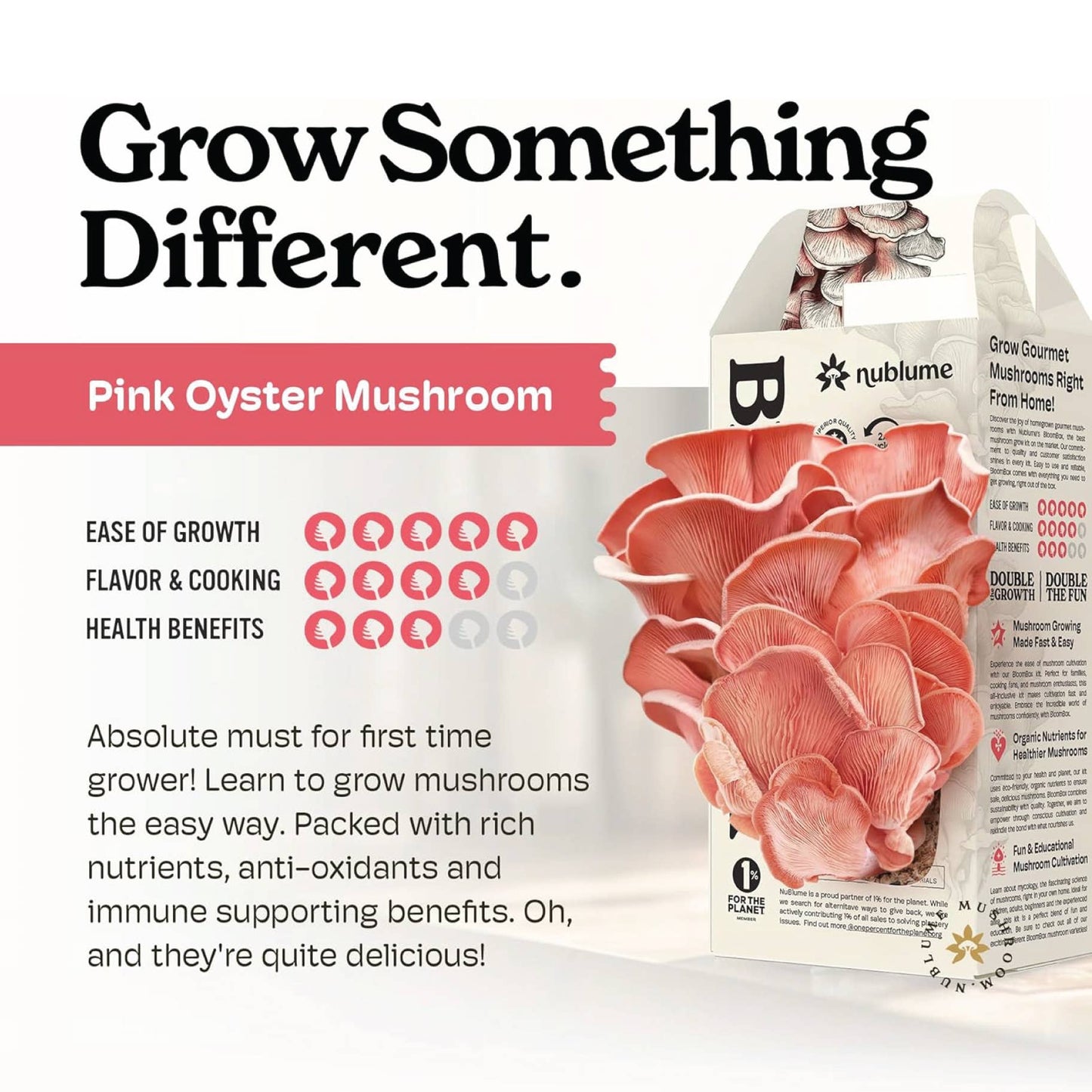 Pink Oyster Mushroom Grow Kit | DIY Indoor Garden Box | Gift