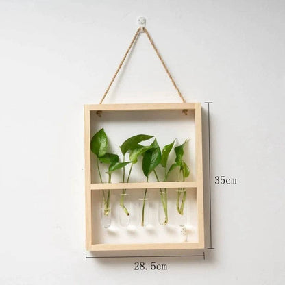 Plant Propagating Photo Frame