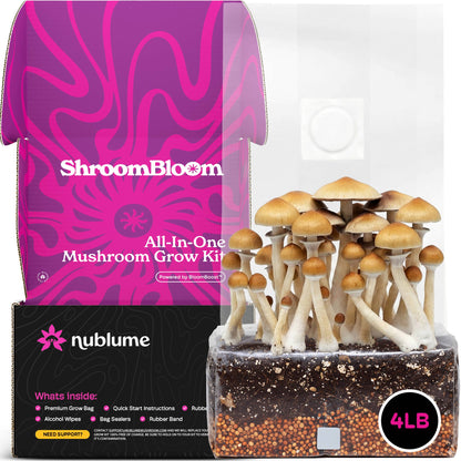 All-In-One Mushroom Grow Kit – Perfect for First-Time Grower