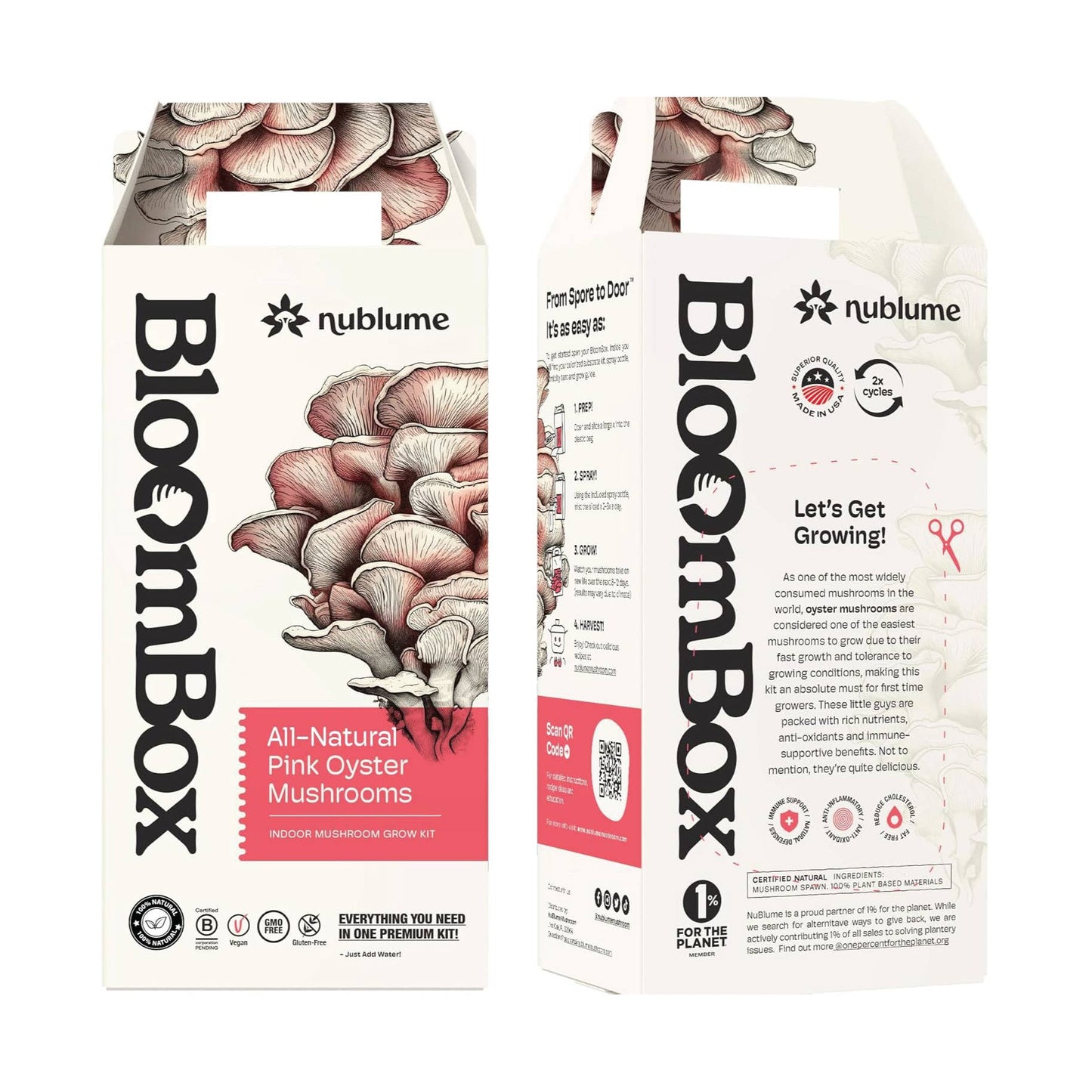 Pink Oyster Mushroom Grow Kit | DIY Indoor Garden Box | Gift