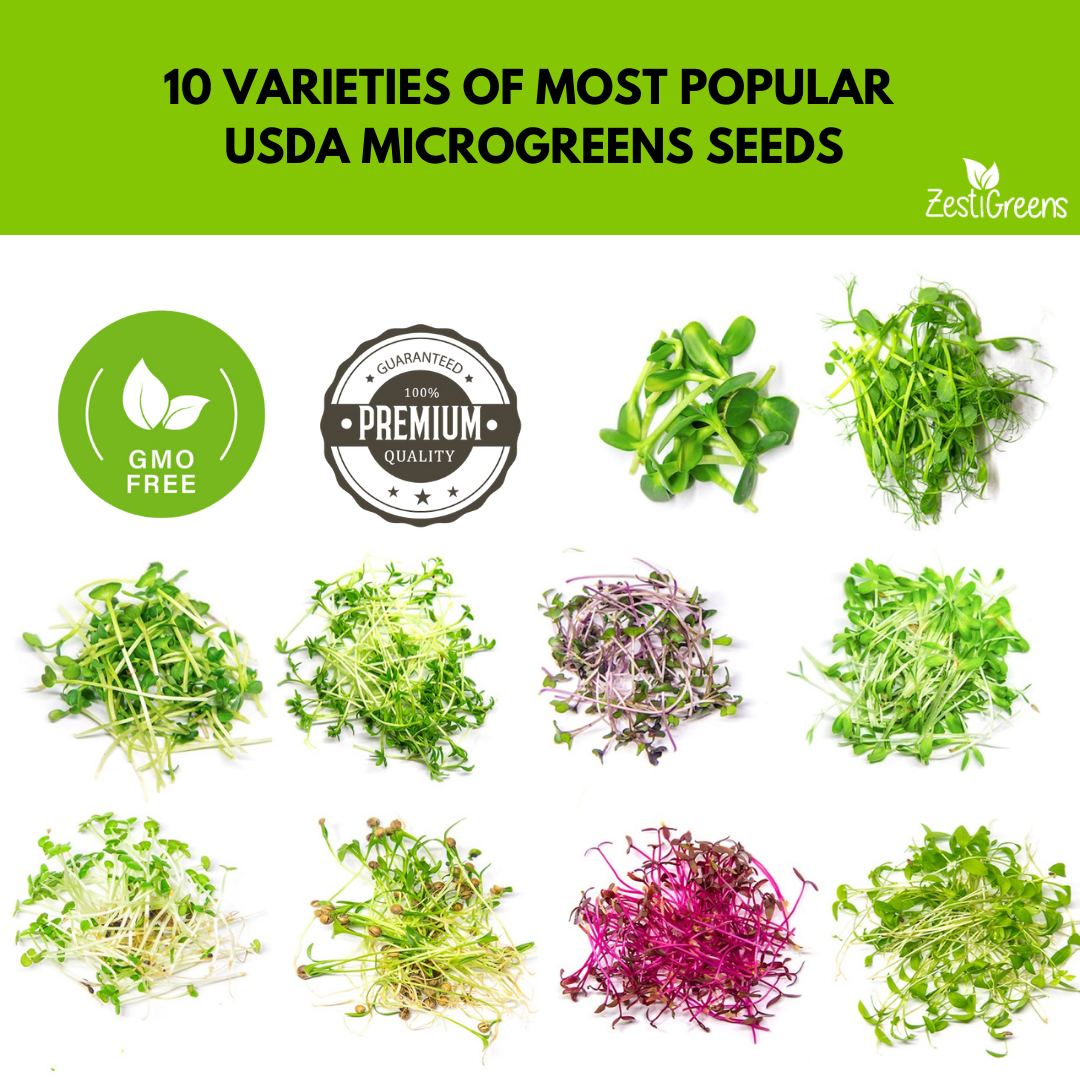 Organic Variety Pack Microgreens Seeds