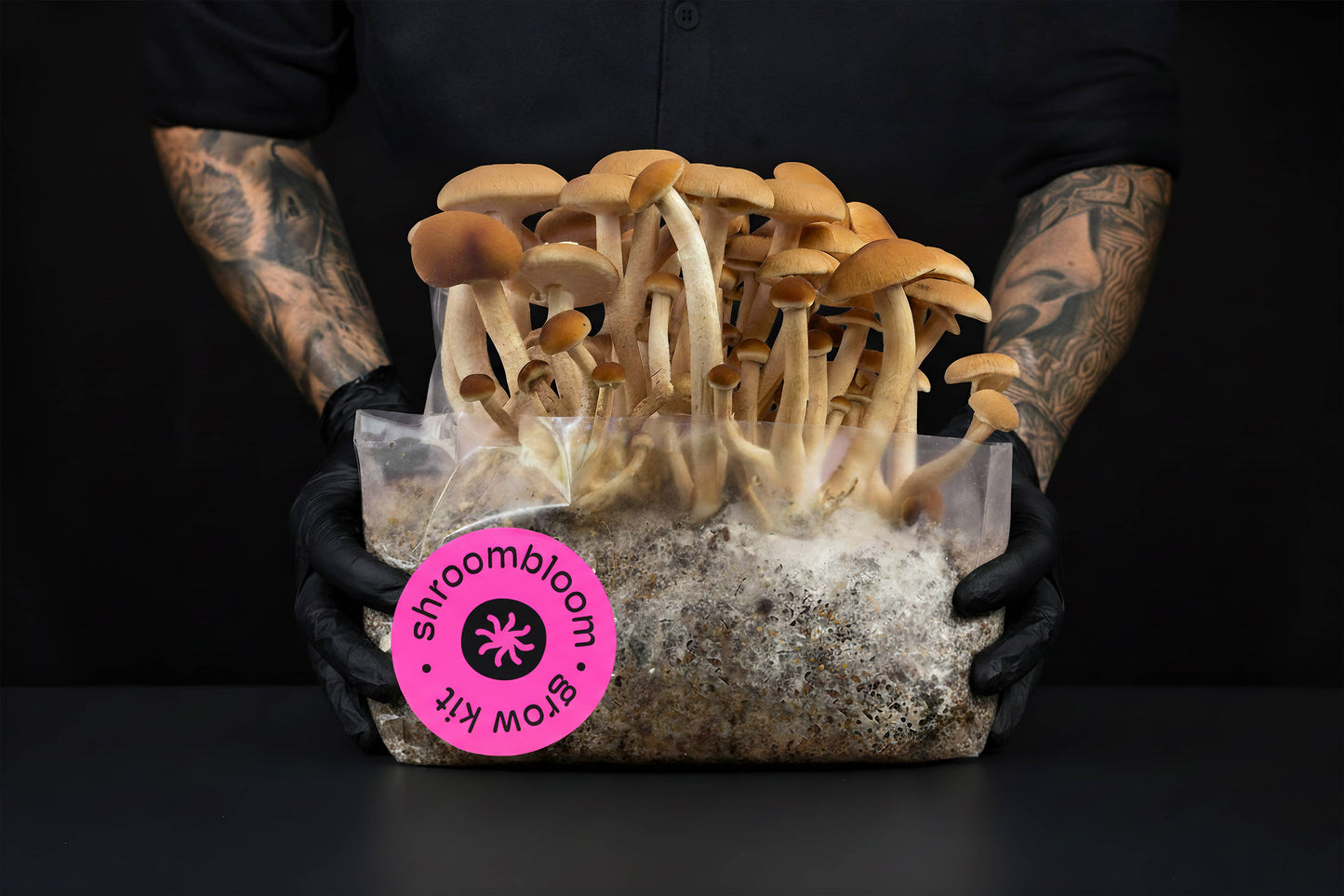 All-In-One Mushroom Grow Kit – Perfect for First-Time Grower