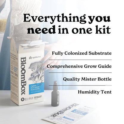Blue Oyster Mushroom Grow Kit | Indoor DIY Garden Kit