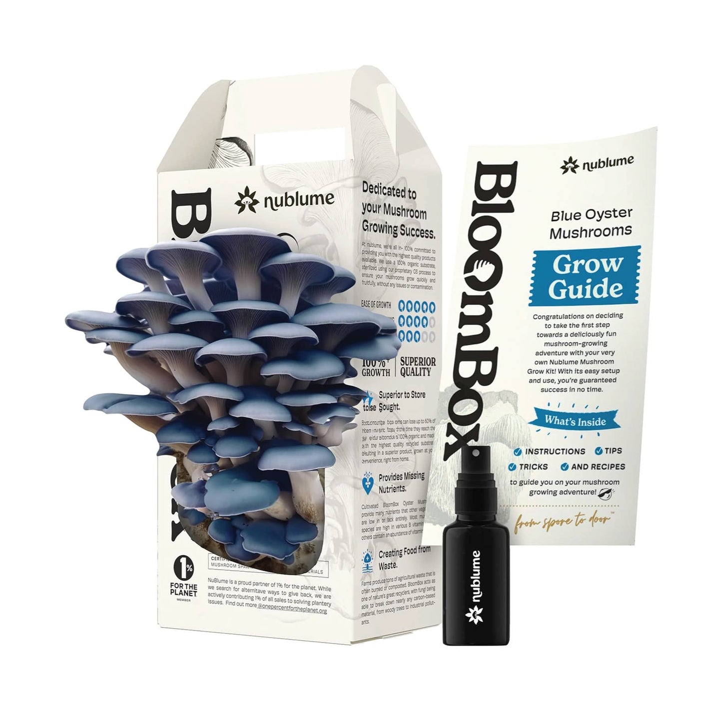 Blue Oyster Mushroom Grow Kit | Indoor DIY Garden Kit