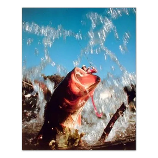 Bass Fish Hooked Lure Fishing Wall Picture Art Print
