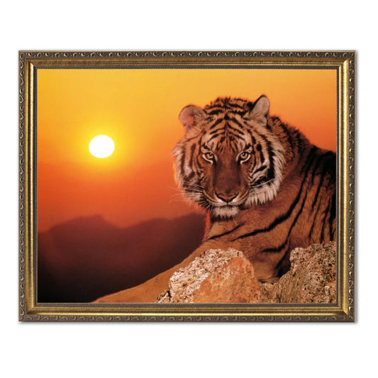Tiger In The Wild At Sunset Wall Picture Gold Framed Art Print