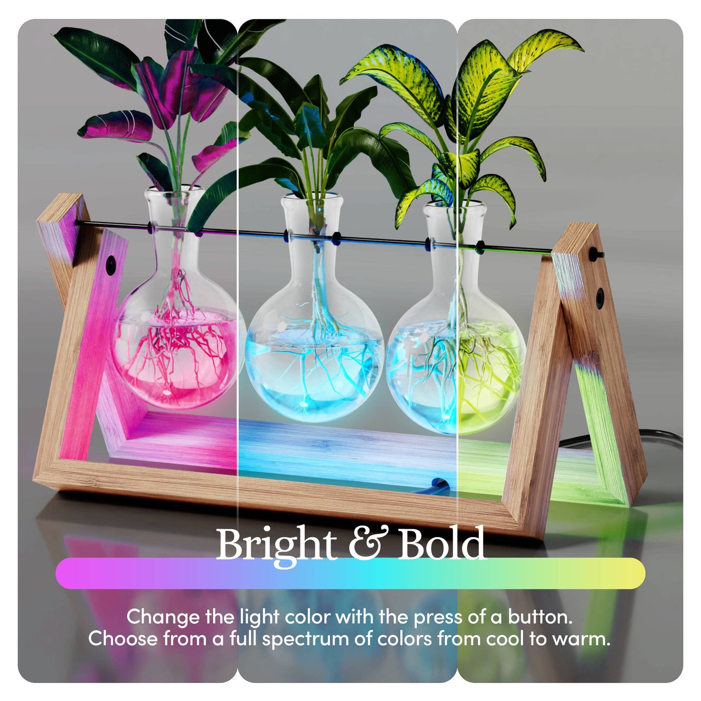 Light Up Bamboo Air Planter - Plant Lover Gifts for Women