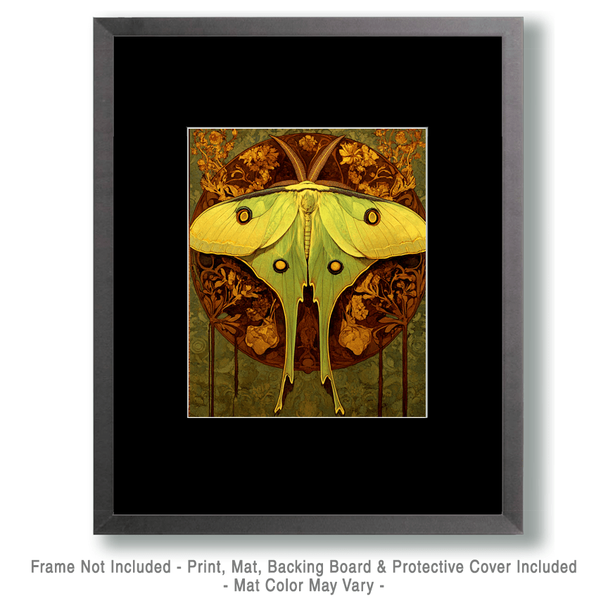 Deco Luna Moth - Insect Wall Art Prints – 8″x10″ Artwork for 11″x14″ Frame