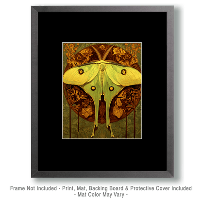 Deco Luna Moth - Insect Wall Art Prints – 8″x10″ Artwork for 11″x14″ Frame