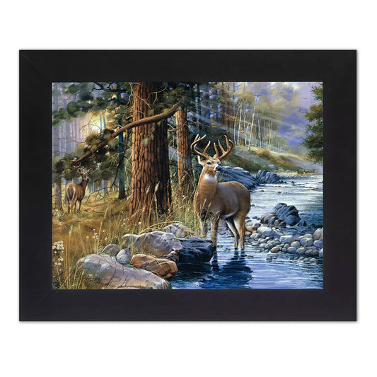 Buck Deer Big Antler Rack w/ Doe Standing in Water Wall Picture Black Framed