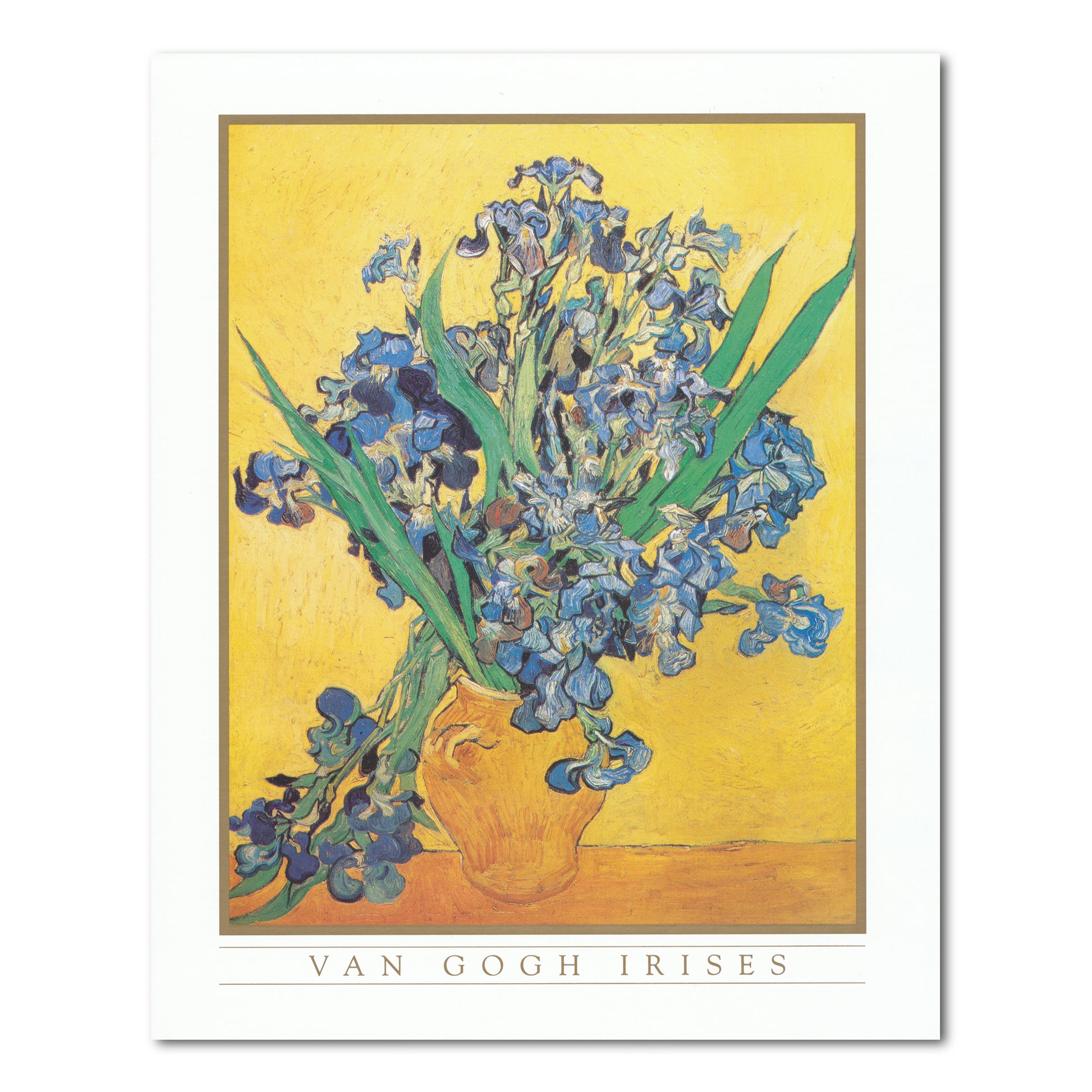 Vincent Van Gogh Irises Vase Flower Wall Picture 8x10 Art Print (Unframed)