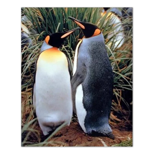 King Penguins Kids Room Wall Picture Art Print