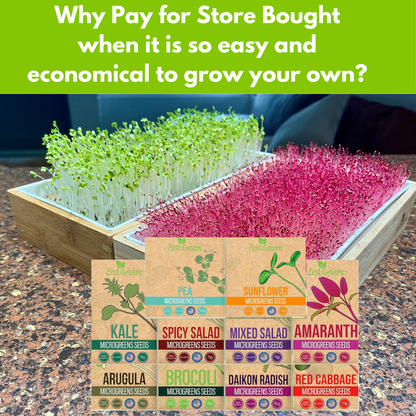 Organic Variety Pack Microgreens Seeds