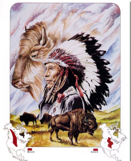 Sioux Native American Bison Art Print Rob Larson 8x10 - UNFRAMED