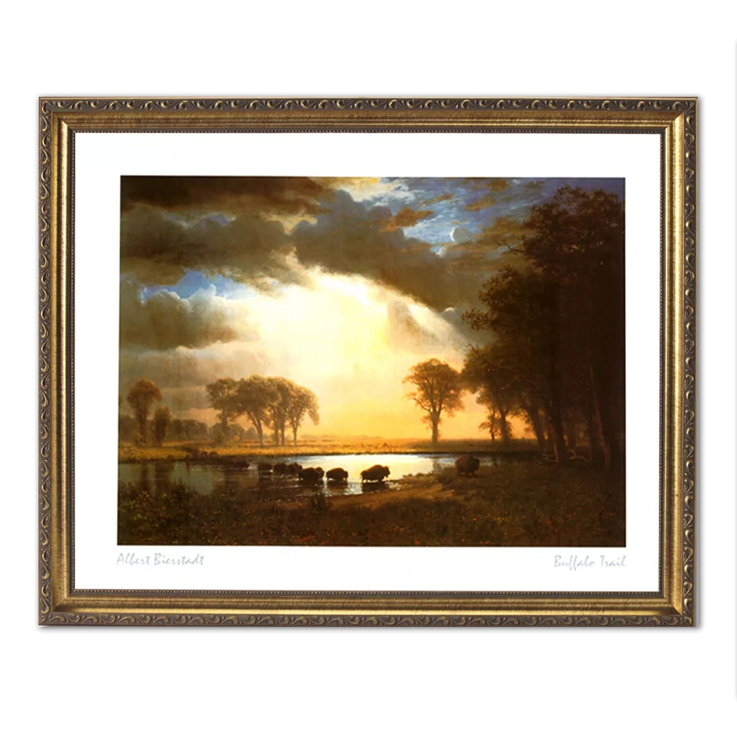 Buffalo Bison In Lake At Sunset Outdoor Wall Picture Gold Framed Art Print