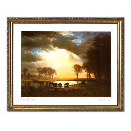 Buffalo Bison In Lake At Sunset Outdoor Wall Picture Gold Framed Art Print