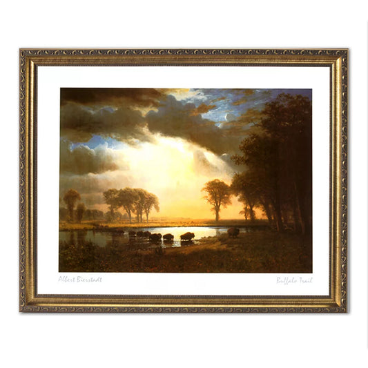 Buffalo Bison In Lake At Sunset Outdoor Wall Picture Gold Framed Art Print
