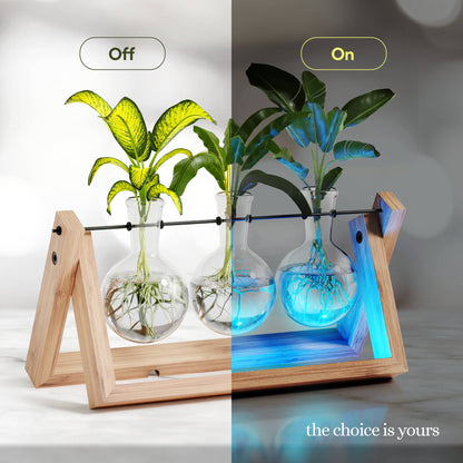 Light Up Bamboo Air Planter - Plant Lover Gifts for Women
