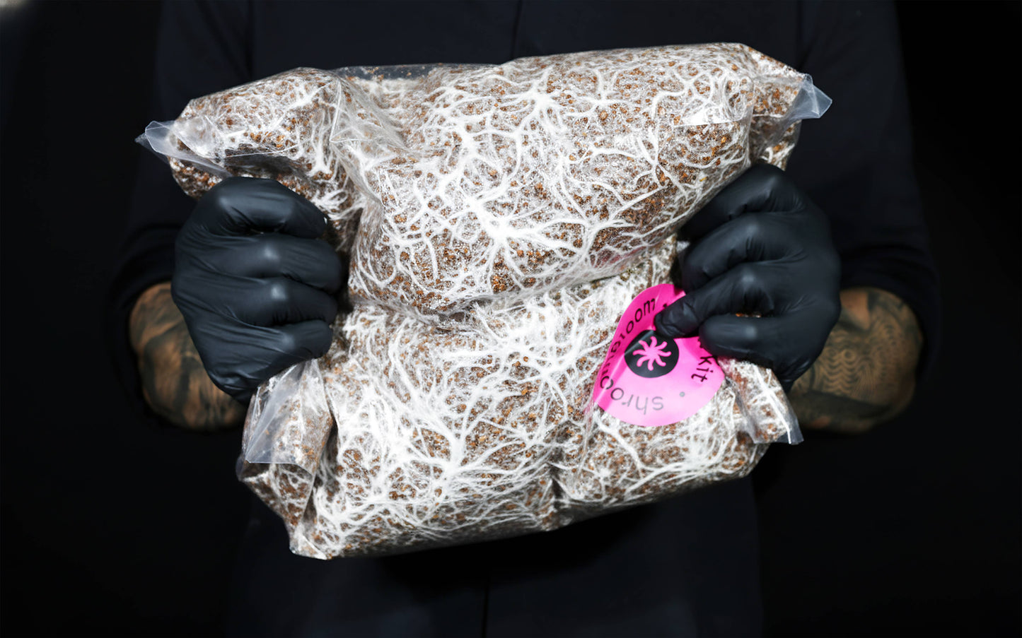 All-In-One Mushroom Grow Kit – Perfect for First-Time Grower