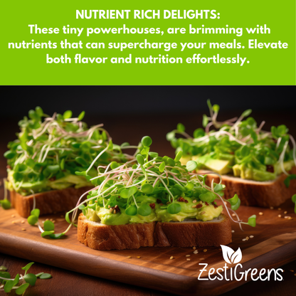 Organic Variety Pack Microgreens Seeds