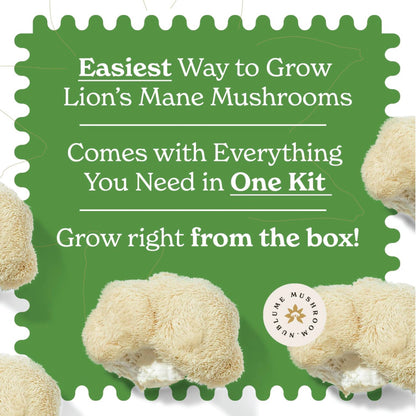 Lion’s Mane Mushroom Grow Kit | DIY Indoor Garden | Gift